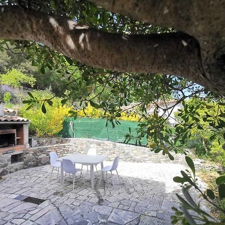 Bas De Villa Au Calme Вильнёв-Лубе Экстерьер фото